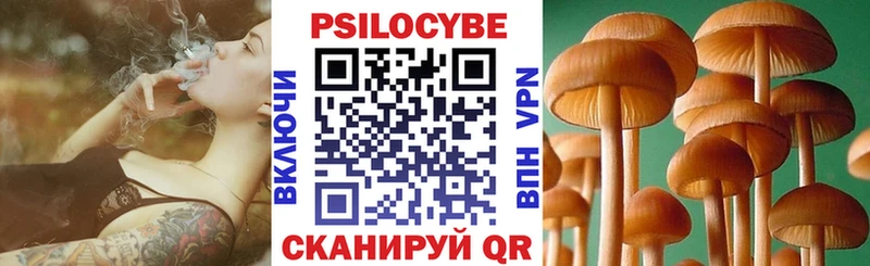 Галлюциногенные грибы Cubensis  Купить  Бородино 
